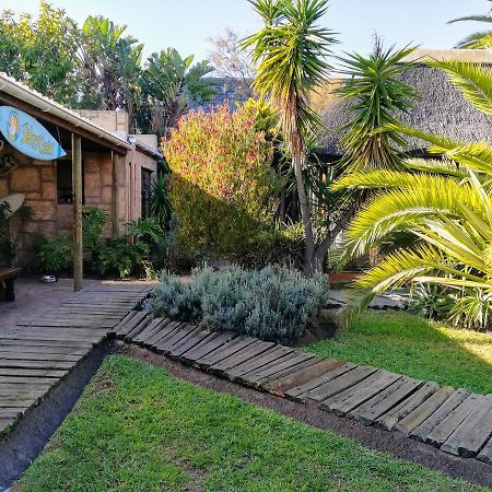 Saltycrax Backpackers And Surf Hostel By Curiocity Bloubergstrand Luaran gambar