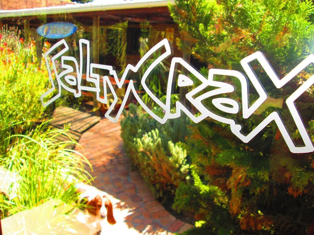 Saltycrax Backpackers And Surf Hostel By Curiocity Bloubergstrand Luaran gambar